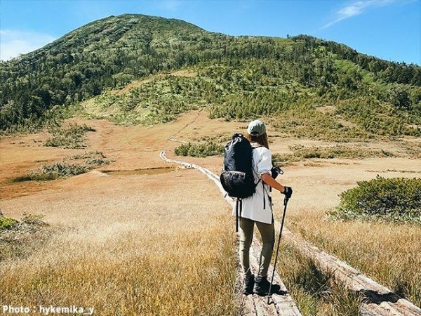画像5: ガオバブ(Gaobabu)☆Gaobabu超軽量カーボン製トレッキングポール2本セット（半面メッシュタイプの収納袋付き） (5)
